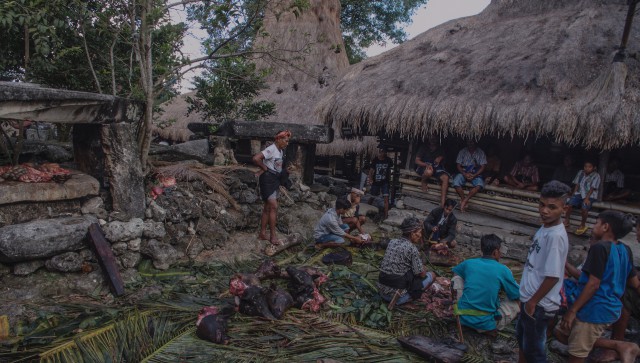 Podział mięsa, Waikabubak, Sumba